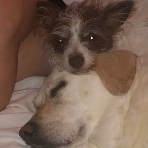 Meet your Posher, Richard